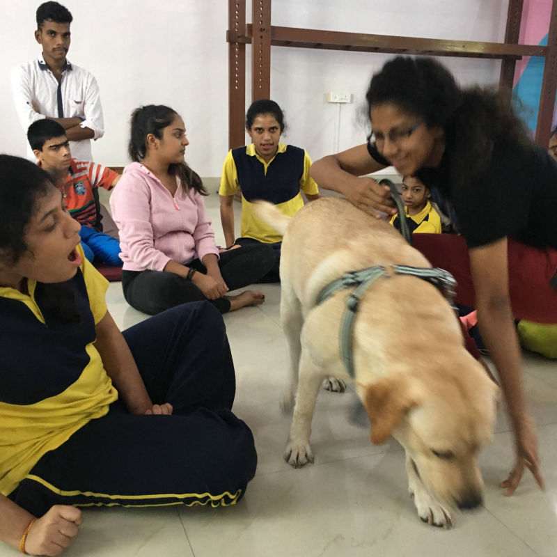 Academy of Learning and Development, Pet Therapy