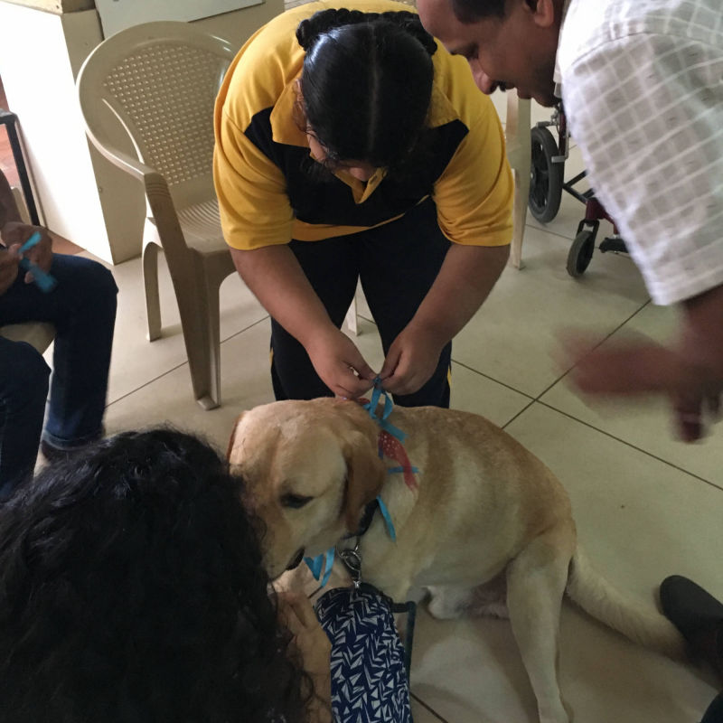 Academy of Learning and Development, Pet Therapy