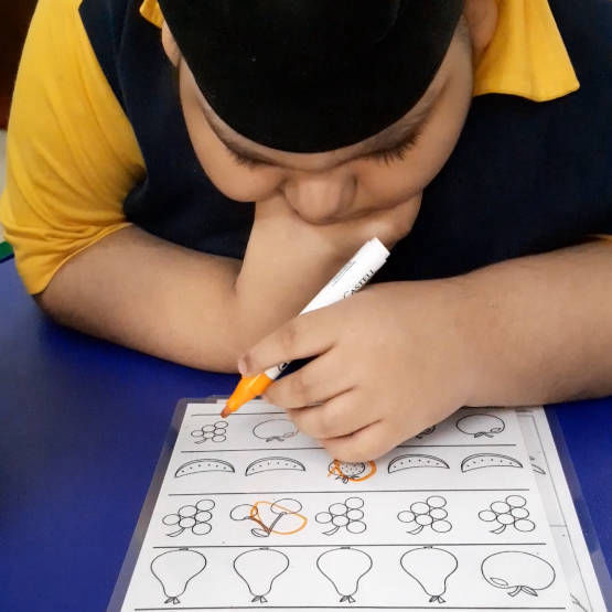 Academy of Learning and Development, Cognitive Skills